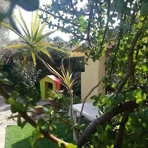 Sa Domu Antiga , Solarussa Italia